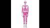 Hallowcos Mighty Morphin Power Rangers Pink Ranger Cosplay Costume