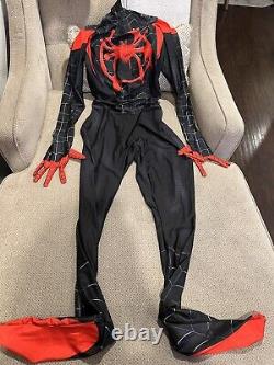 Mens Spiderman Zentai Skinsuit Speedsuit Bodysuit Spandex Cosplay Costume 3XL