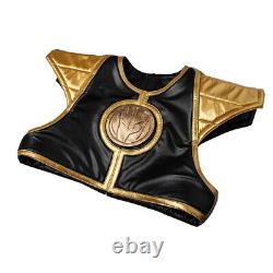Mighty Morphin Power Rangers Tommy Dragon Ranger Cosplay Jumpsuit Costumes Men