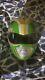 Power Rangers Cosplay Helmet Green Ranger Bat In The Sun